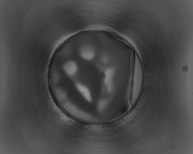 X0000091170995200708301152