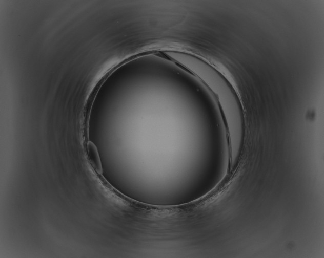 X0000091170997200708301152