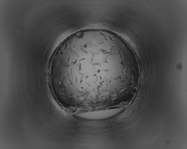 X0000091170998200708301152