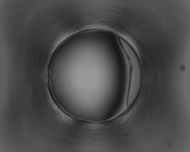 X0000091170999200708301152