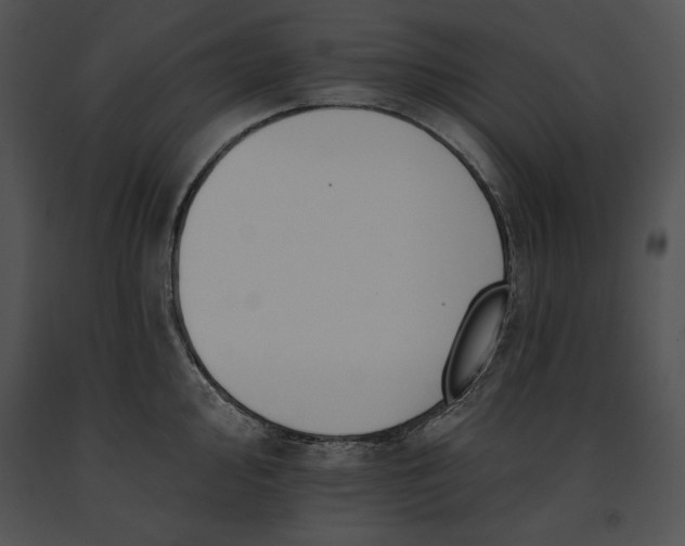 X0000091171000200708301152