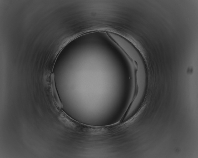 X0000091171001200708301152