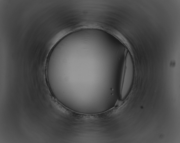 X0000091171002200708301152