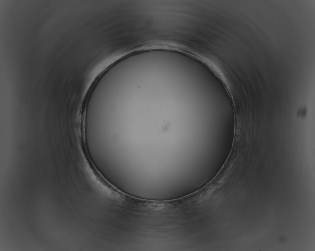 X0000091171003200708301151