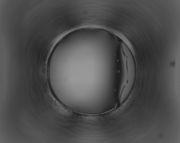 X0000091171004200708301151