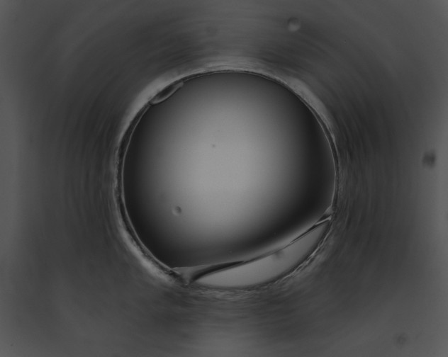 X0000091171005200708301151