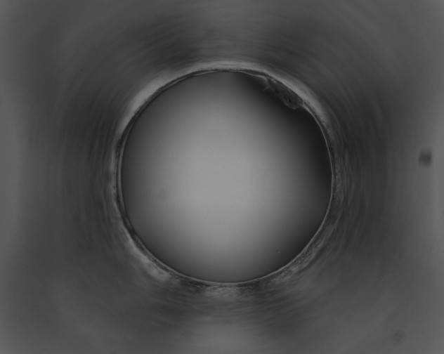 X0000091171006200708301151