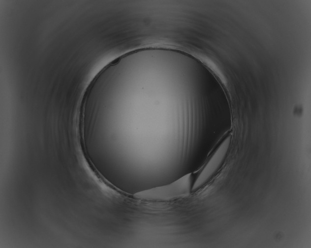 X0000091171007200708301151