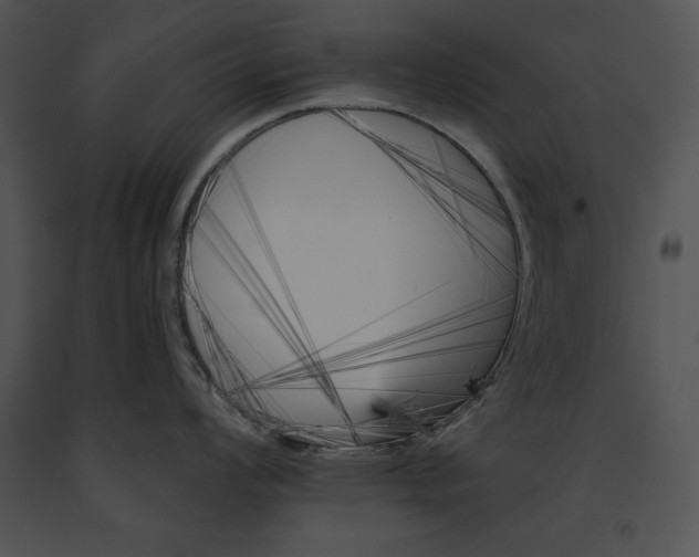 X0000091171008200708301151