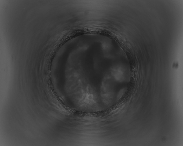 X0000091171009200708301151