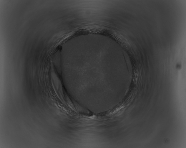 X0000091171010200708301151