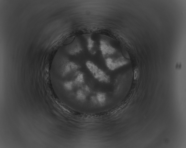 X0000091171011200708301151