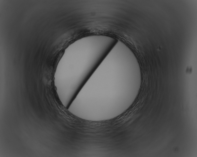 X0000091171012200708301151