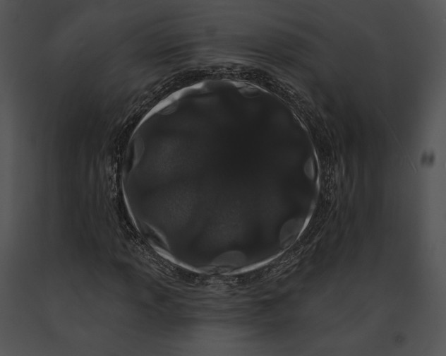 X0000091171013200708301151