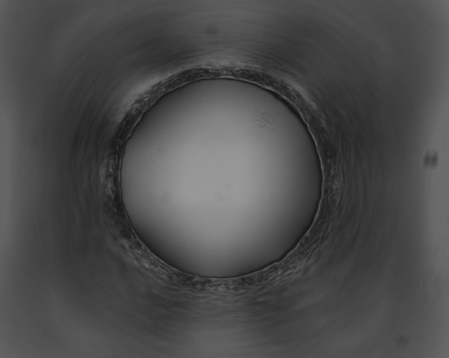 X0000091171016200708301151