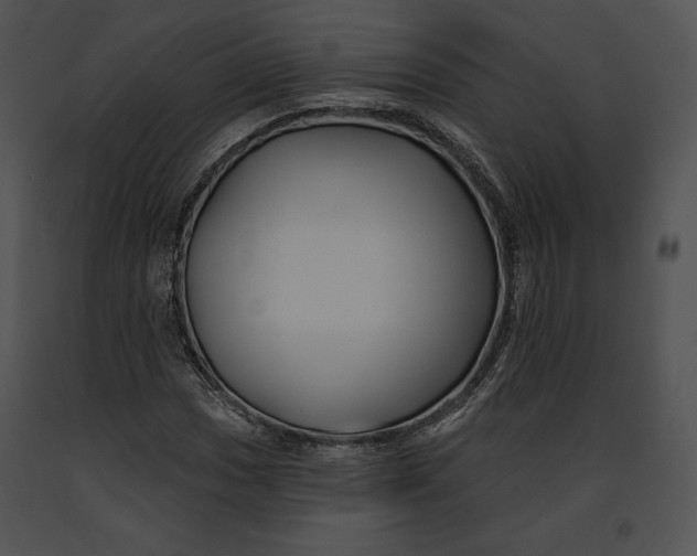 X0000091171017200708301151