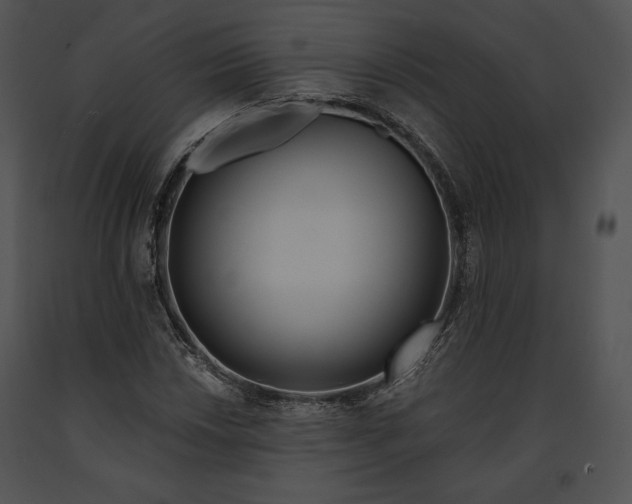 X0000091171018200708301151