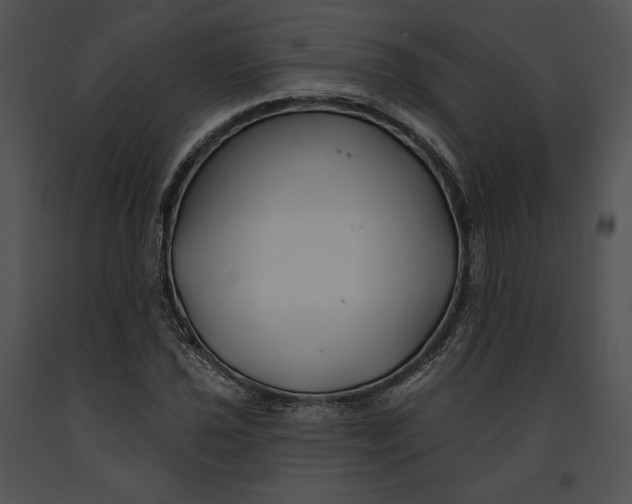 X0000091171021200708301151