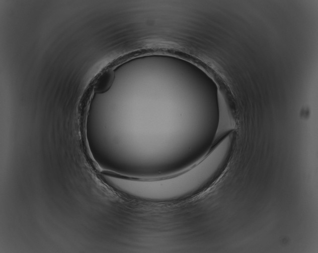 X0000091171022200708301151