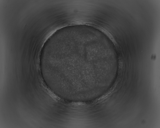 X0000091171023200708301151