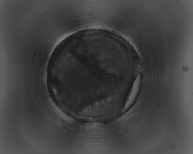 X0000091171024200708301151