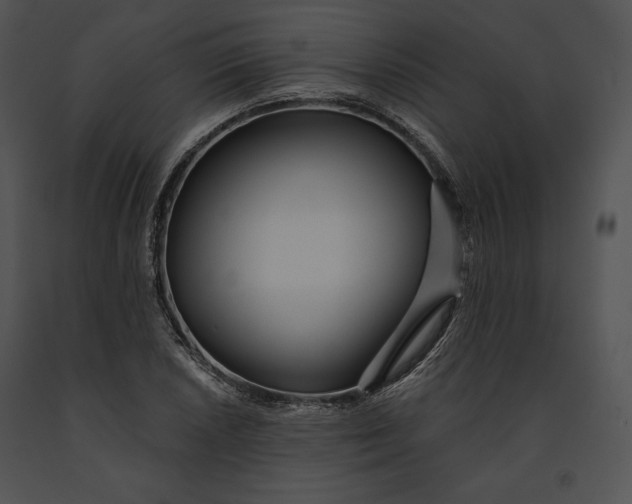 X0000091171026200708301151