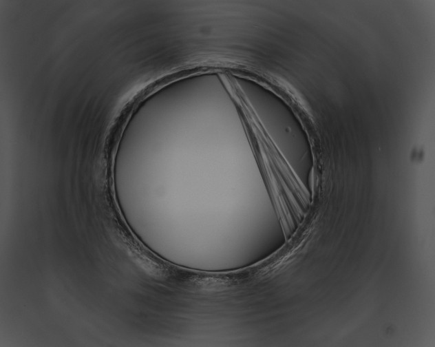 X0000091171027200708301151