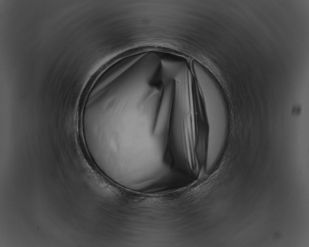 X0000091171028200708301151