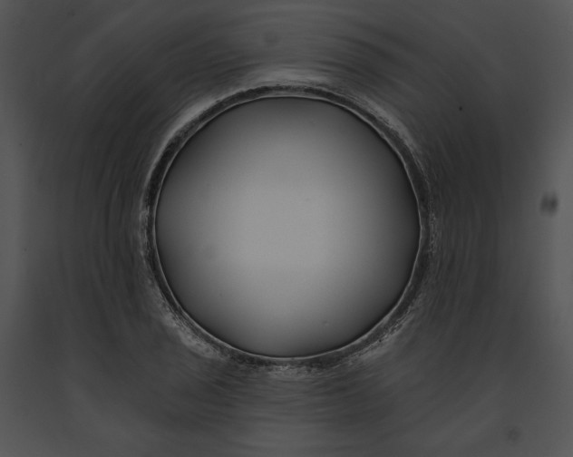 X0000091171029200708301151