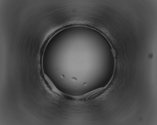 X0000091171030200708301151