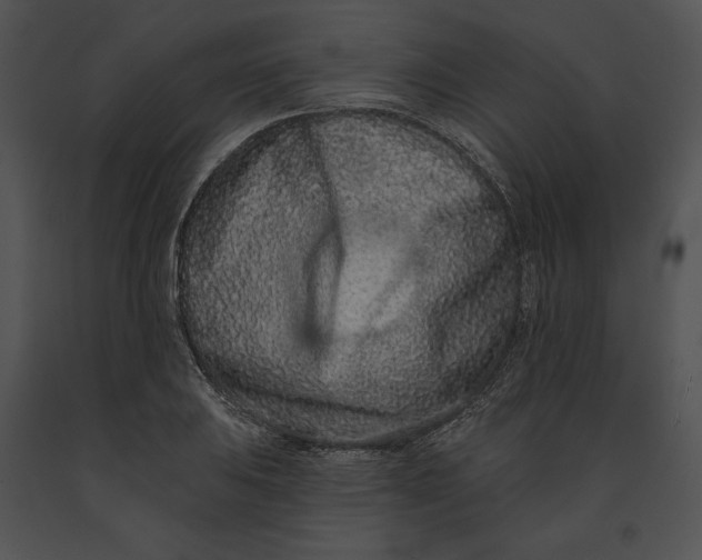 X0000091171031200708301151