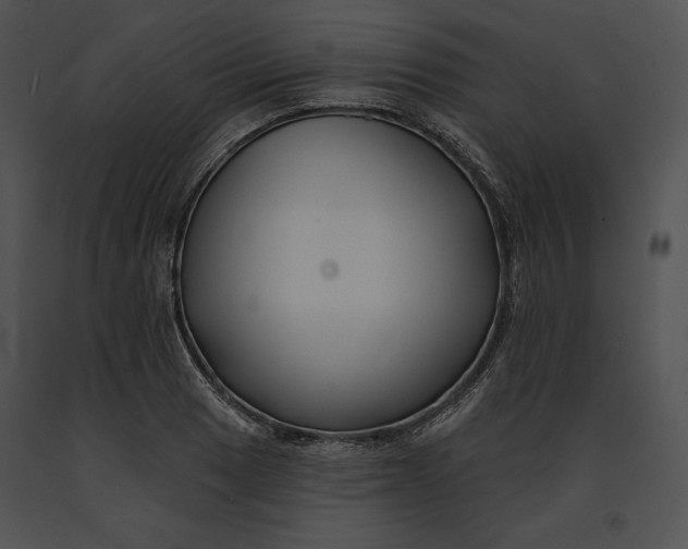 X0000091171033200708301151