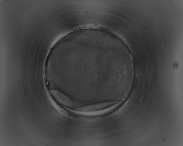 X0000091171034200708301151