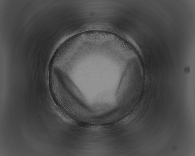 X0000091171035200708301151