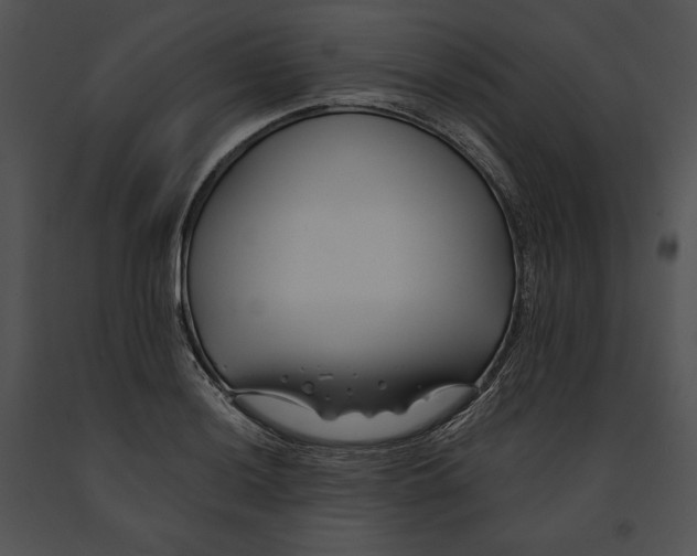 X0000091171036200708301151