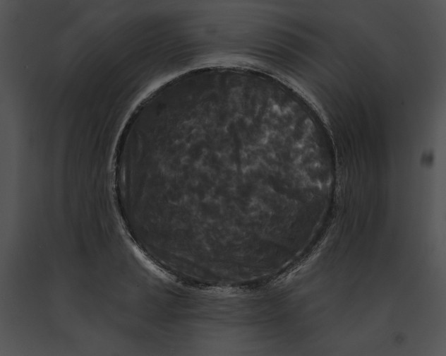 X0000091171037200708301151