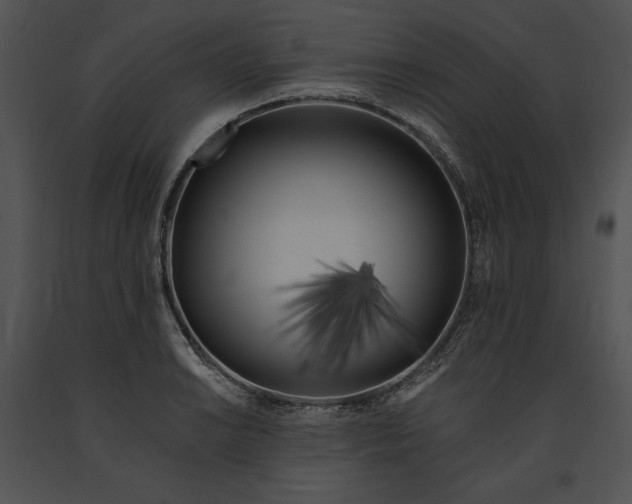 X0000091171038200708301151