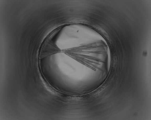 X0000091171039200708301151