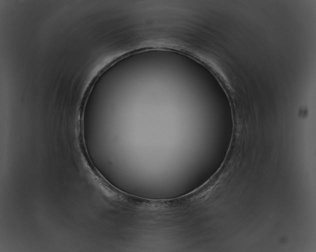 X0000091171040200708301151