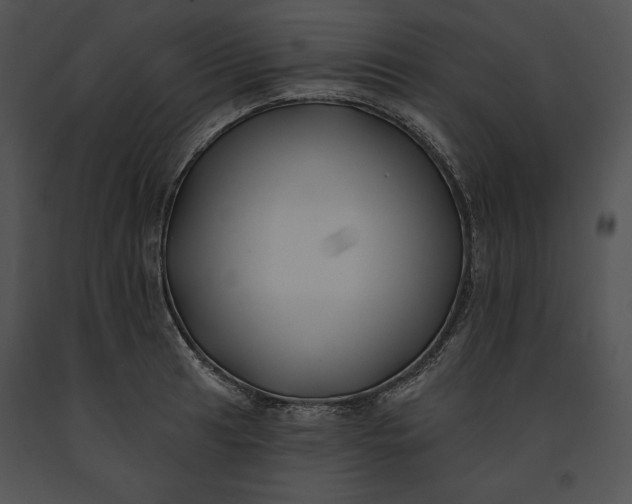 X0000091171041200708301151