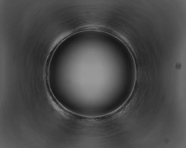 X0000091171042200708301151