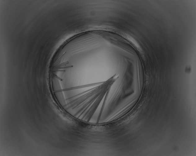 X0000091171043200708301151