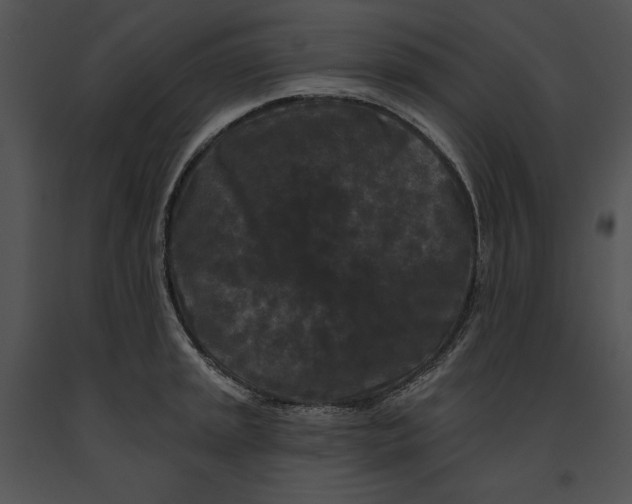 X0000091171045200708301151