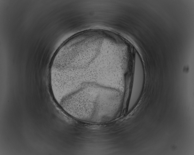 X0000091171048200708301151