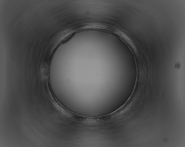 X0000091171049200708301151