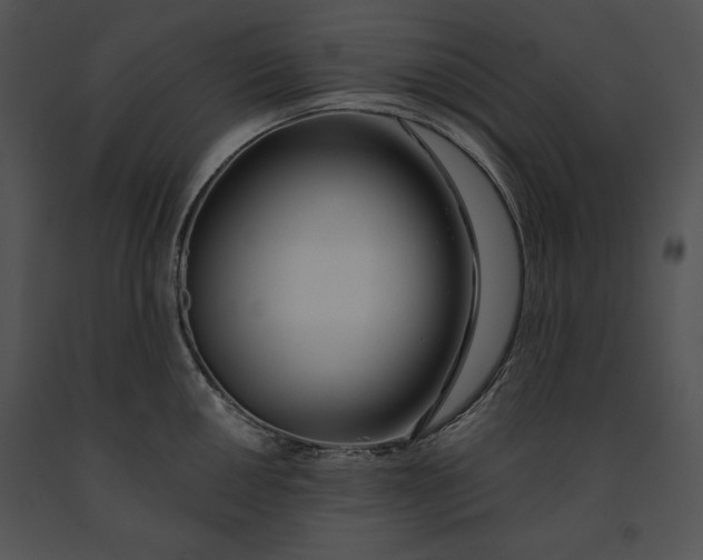 X0000091171050200708301151