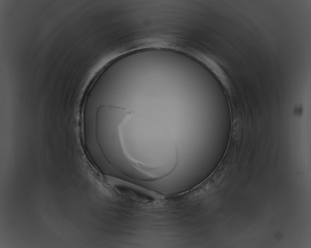 X0000091171051200708301151