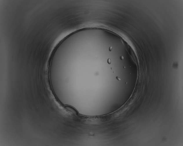 X0000091171053200708301151