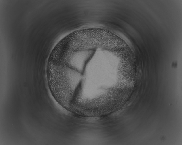 X0000091171055200708301151