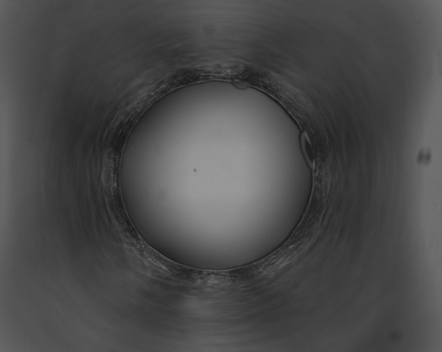 X0000091171058200708301151